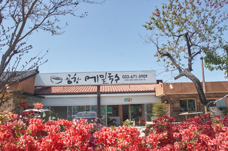 공항메밀국수 이미지