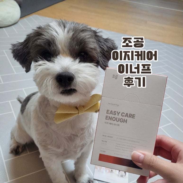 조공방 이미지