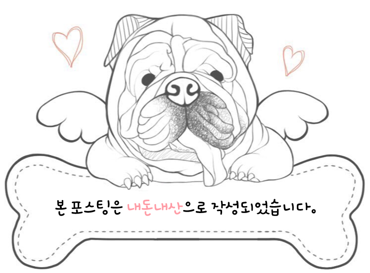 씨에스씨 이미지