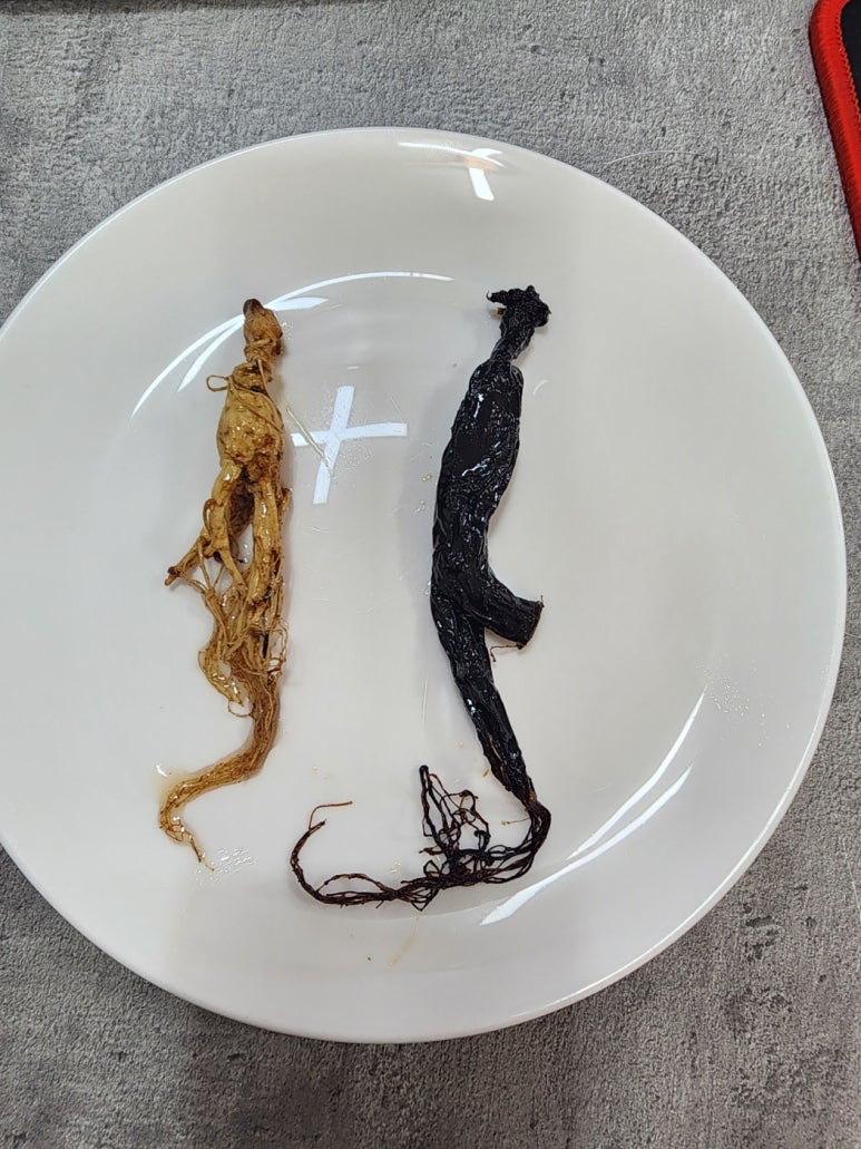 산삼정 이미지