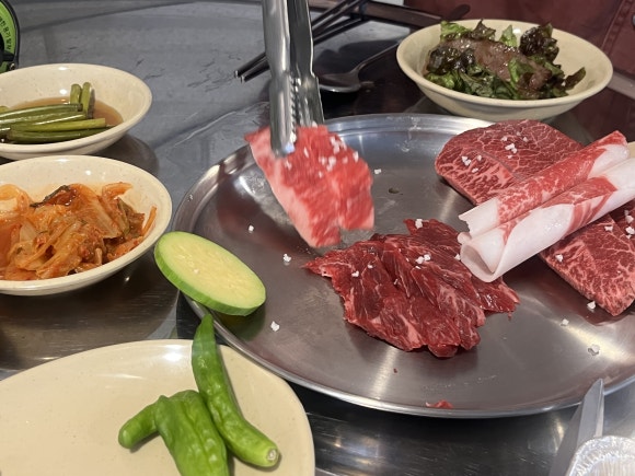 바이소 이미지