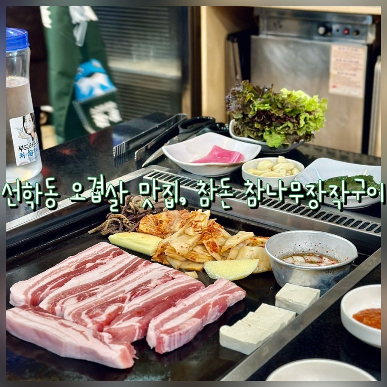 참돈마실 이미지