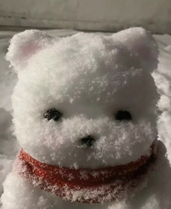 투어링크 이미지