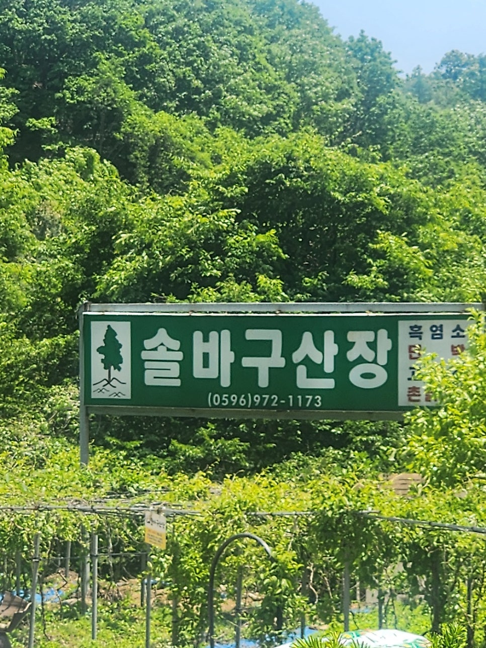 솔바구산장 이미지