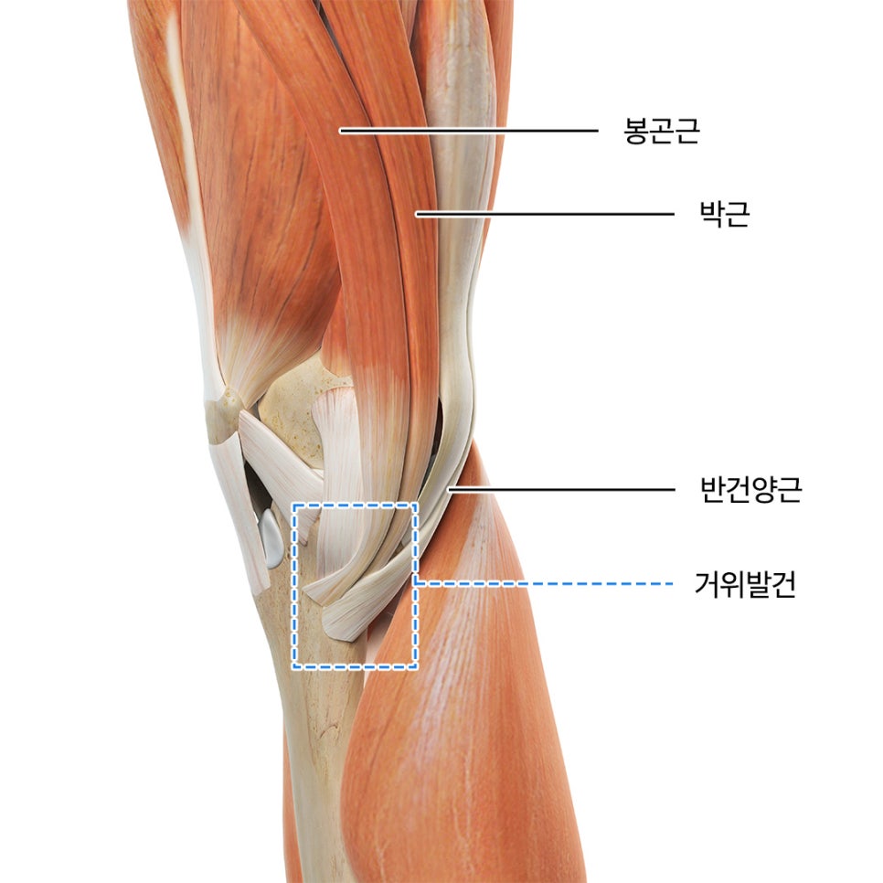 헤세드스포츠 이미지