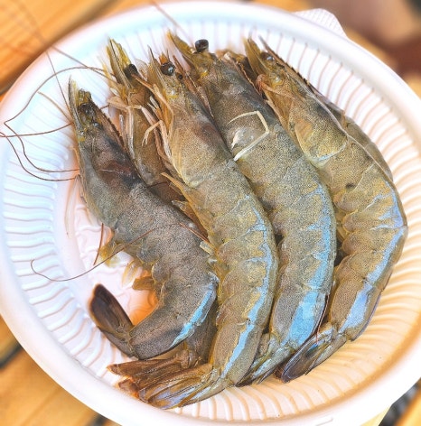 백운썬밸리캠핑장 이미지
