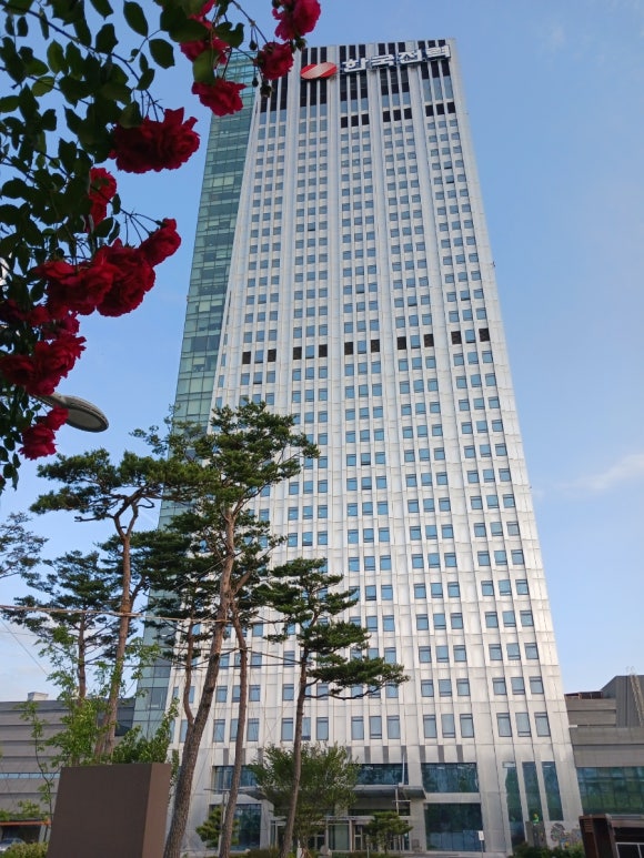 새싹존크린센터 이미지