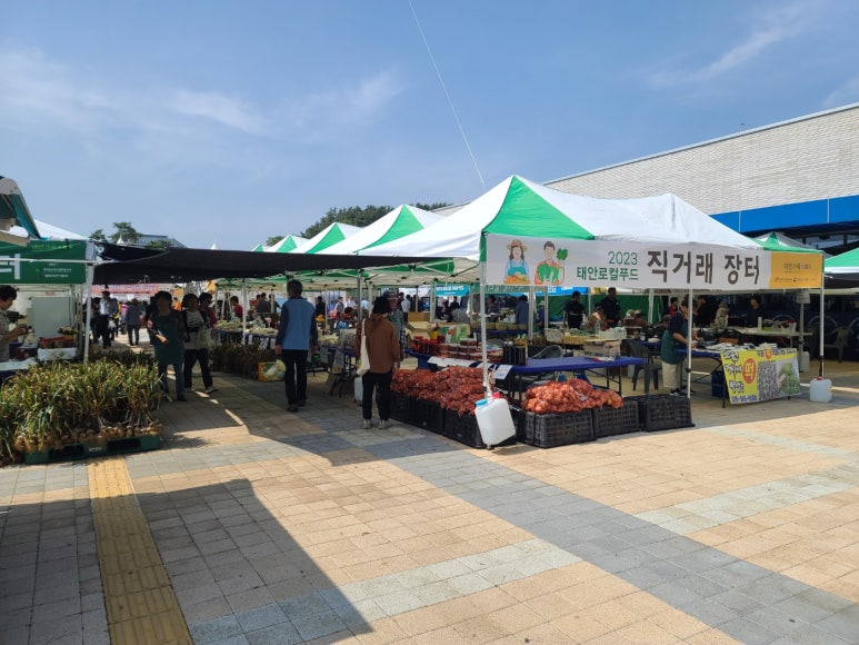 태안군로컬푸드사업단 이미지