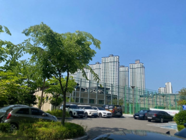 남양 유아숲체험원 이미지