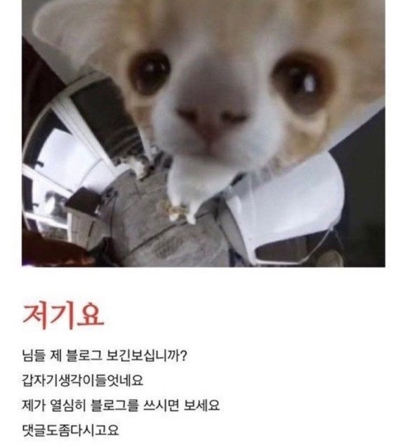 자체휴강시네마 이미지