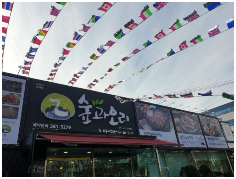 숲오리 이미지