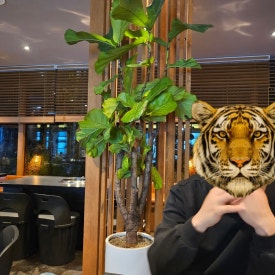 로만숯불갈비 이미지