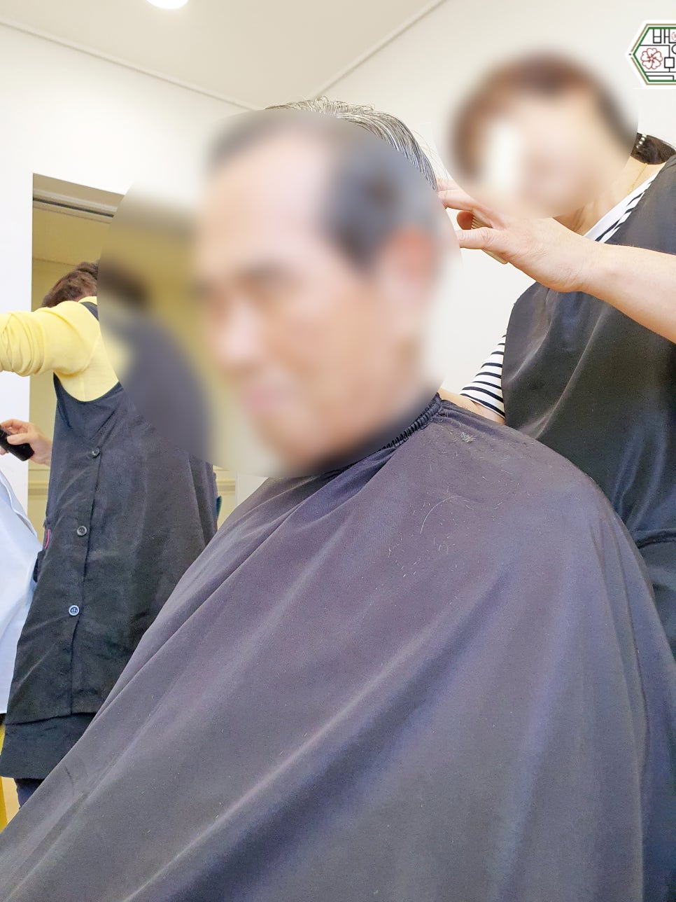 백향목골든케어 이미지