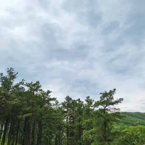 사색의 방 이미지