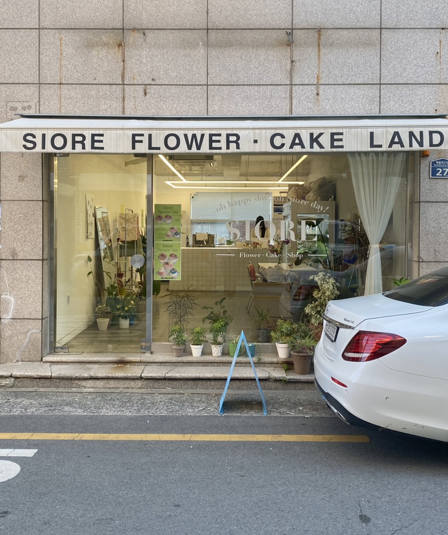 시오레 이미지