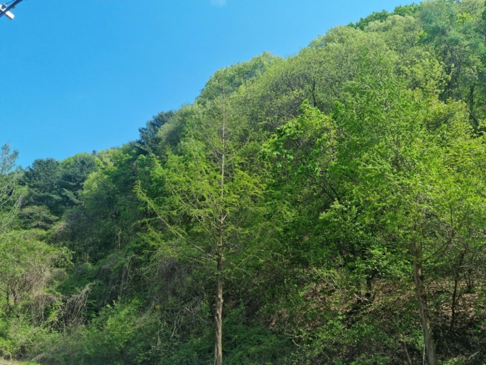 도토리캠핑장 이미지