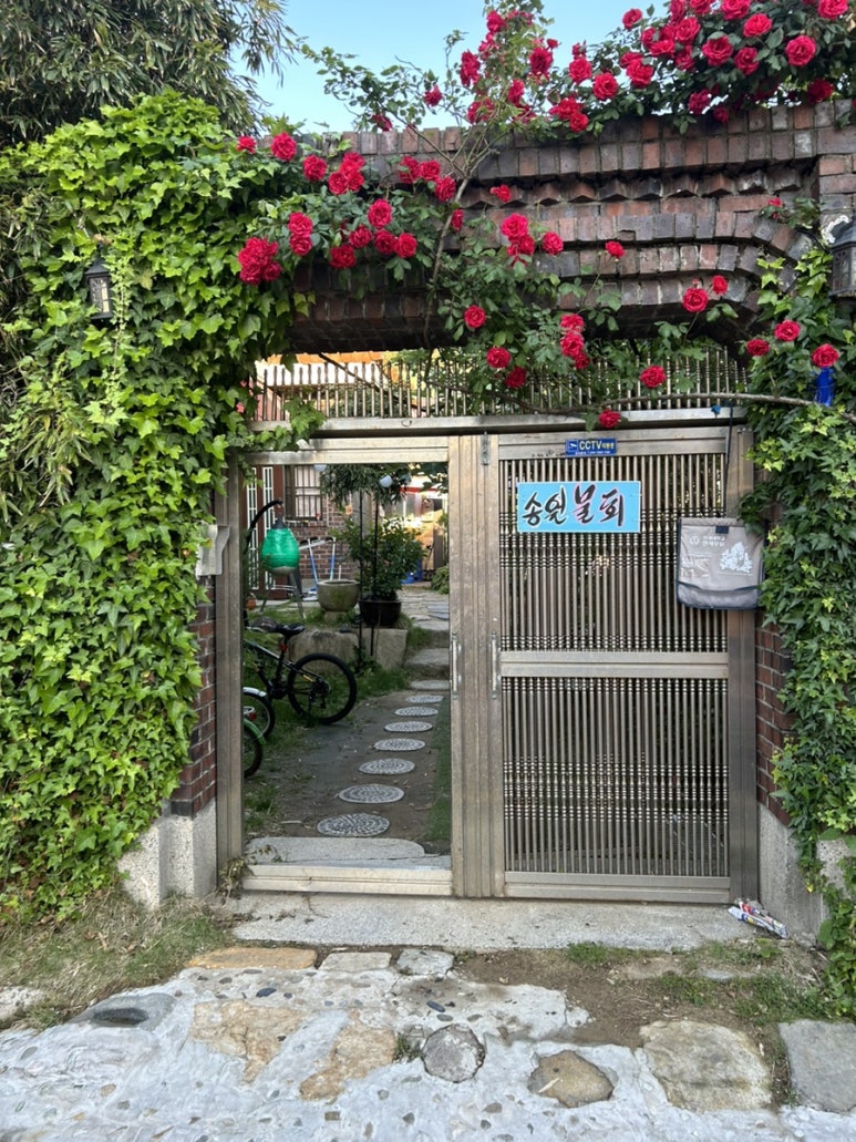 송원물회 이미지