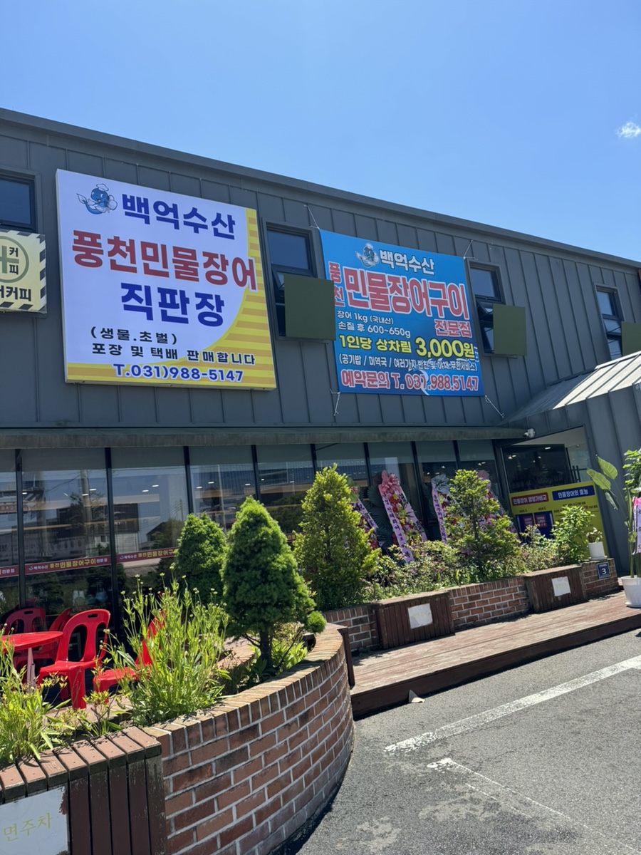 백억장어 이미지