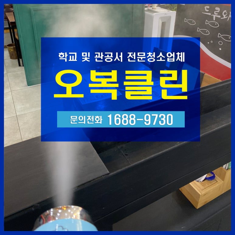 오복클린 이미지