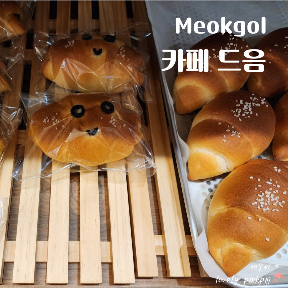 드음 이미지