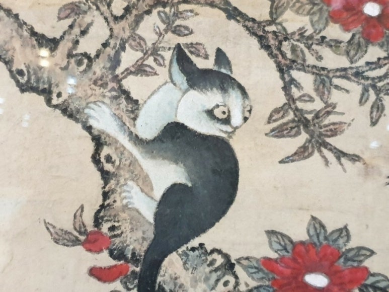 묘화 이미지