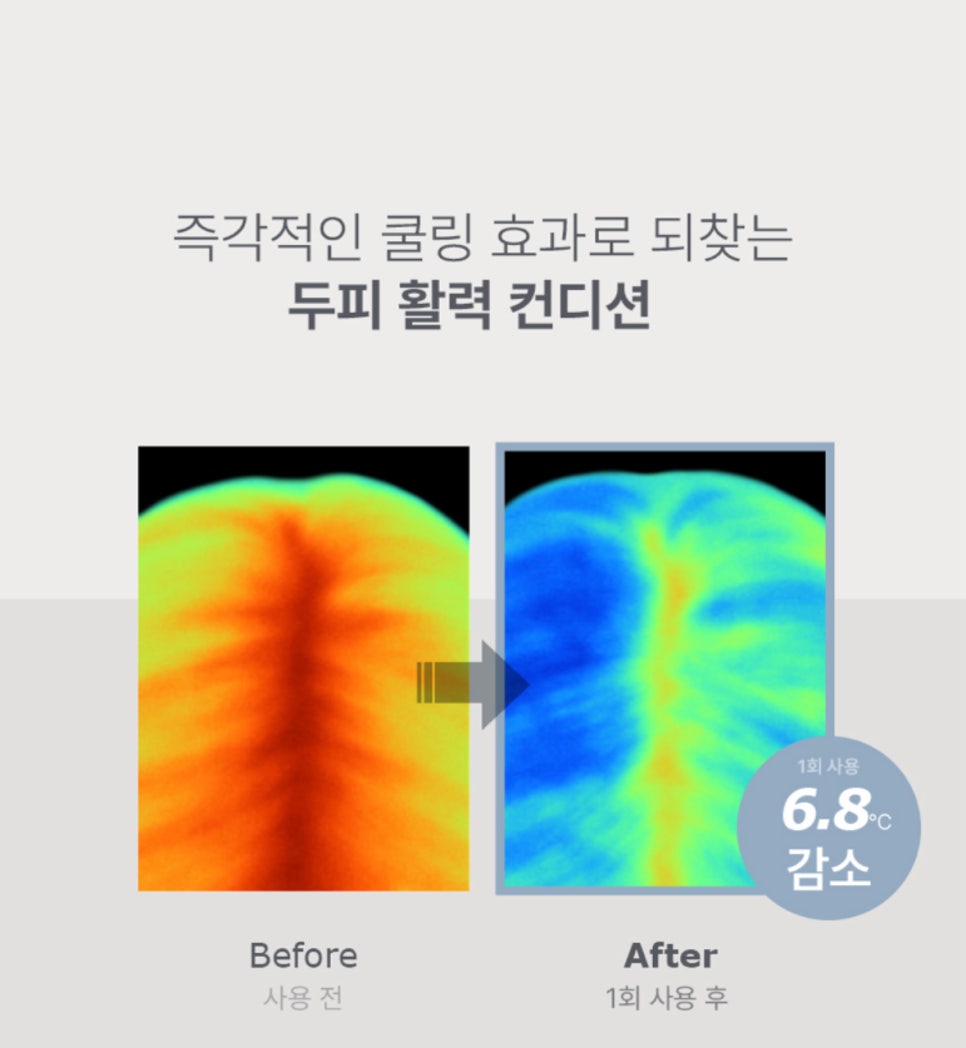 프로우 이미지
