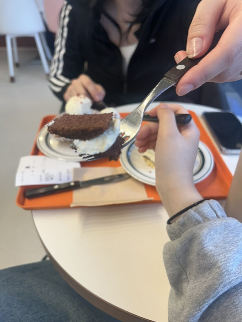 슈크레어 이미지