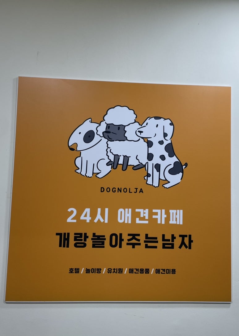 개랑 놀아주는 남자 이미지