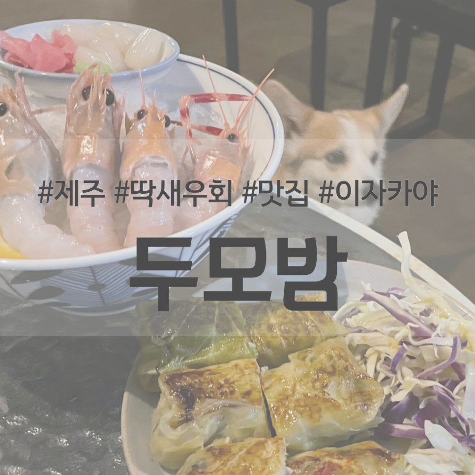 두모밤 이미지