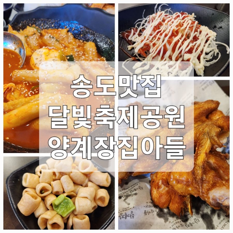 양계장집아들송도달빛축제공원역점 이미지