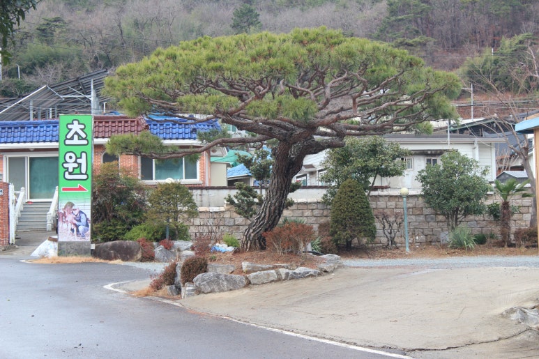 철마한우초원 이미지