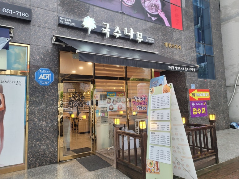 국수나무안중 이미지