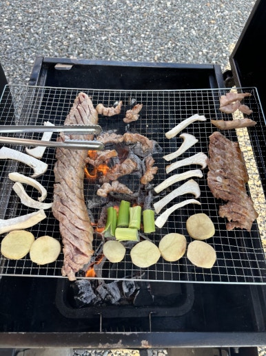 아우노펠리스 이미지