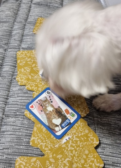 두복 이미지