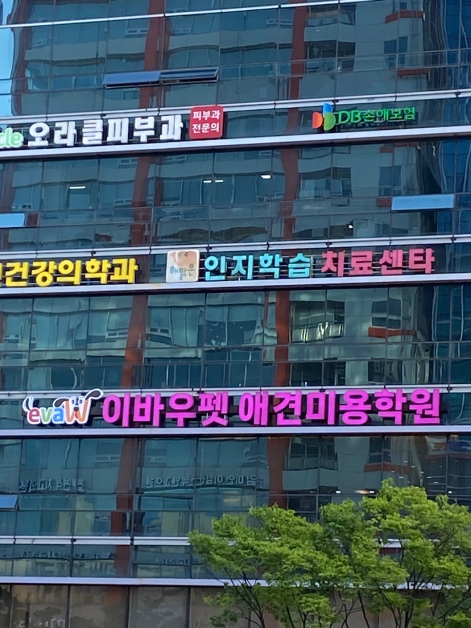 대전애견미용학원 이미지