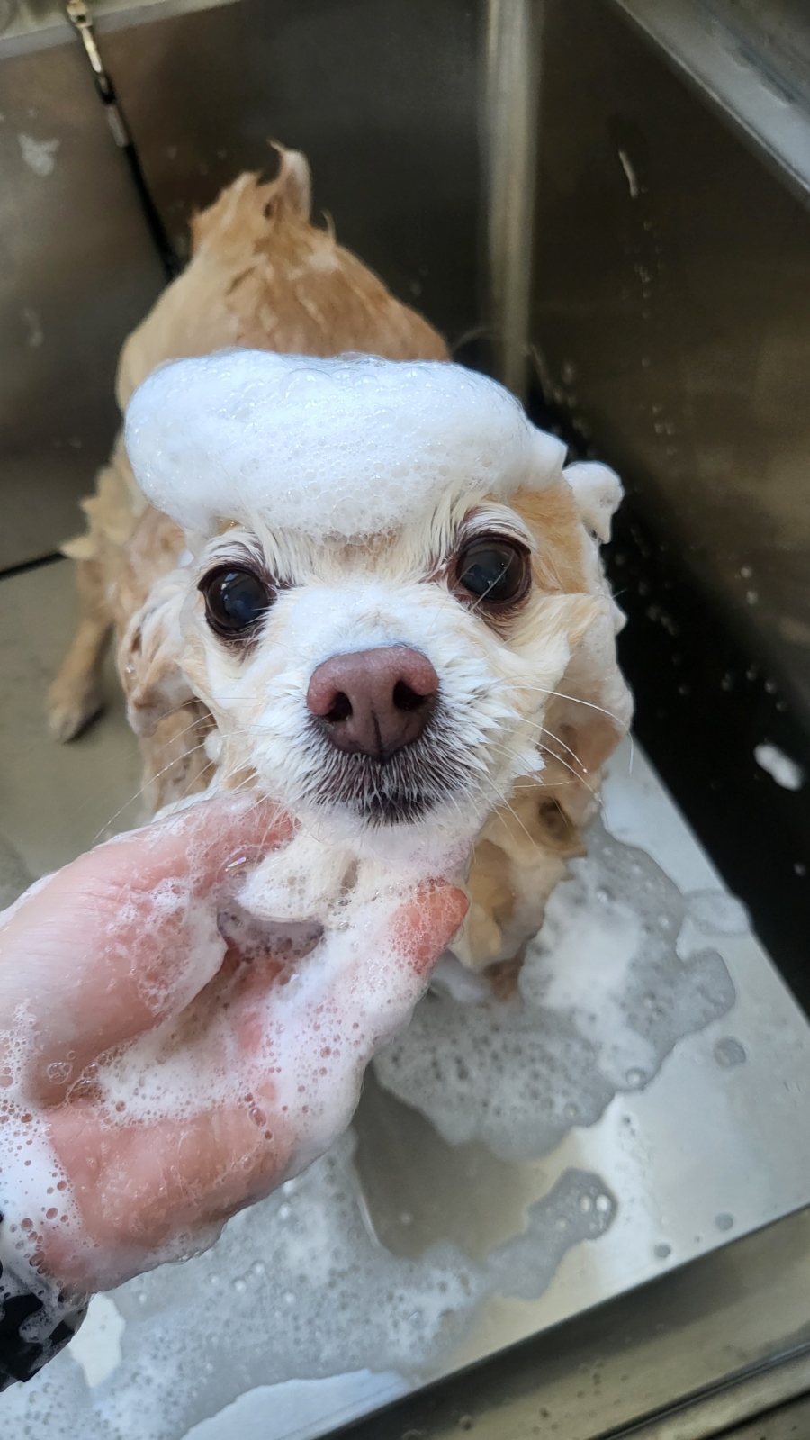 더향기샵 이미지