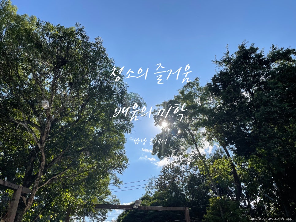 매직청소TV 이미지