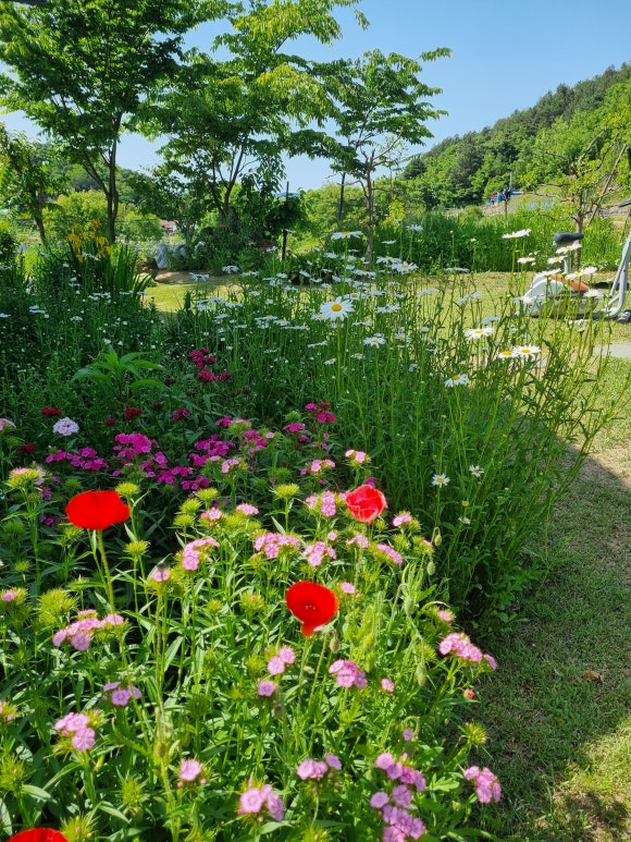 서당골농원 이미지