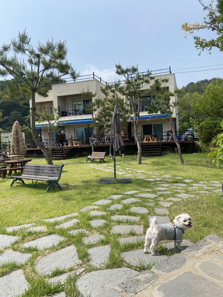 늘도민박펜션 이미지