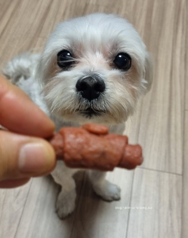 두복 이미지