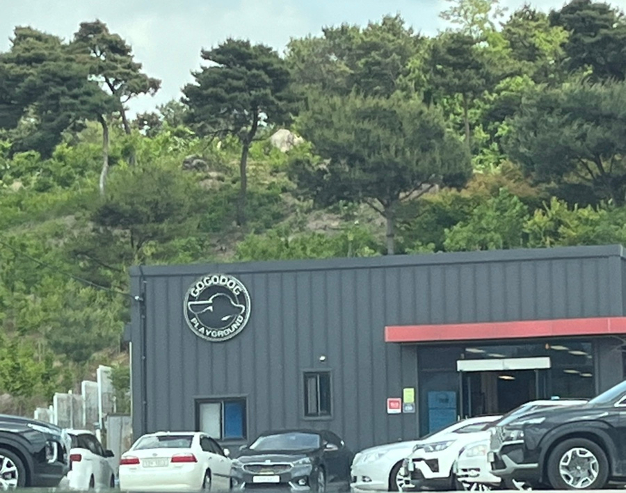 고고독 이미지