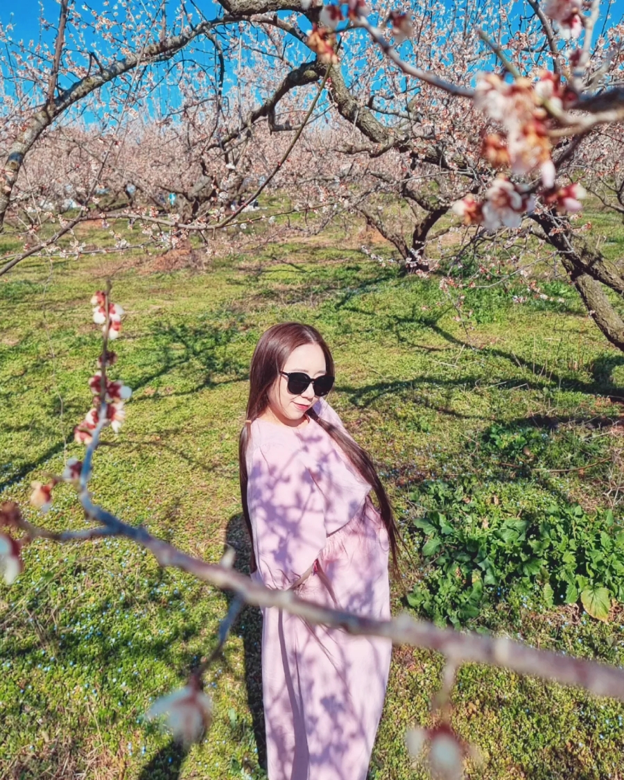 그날을;봄 이미지