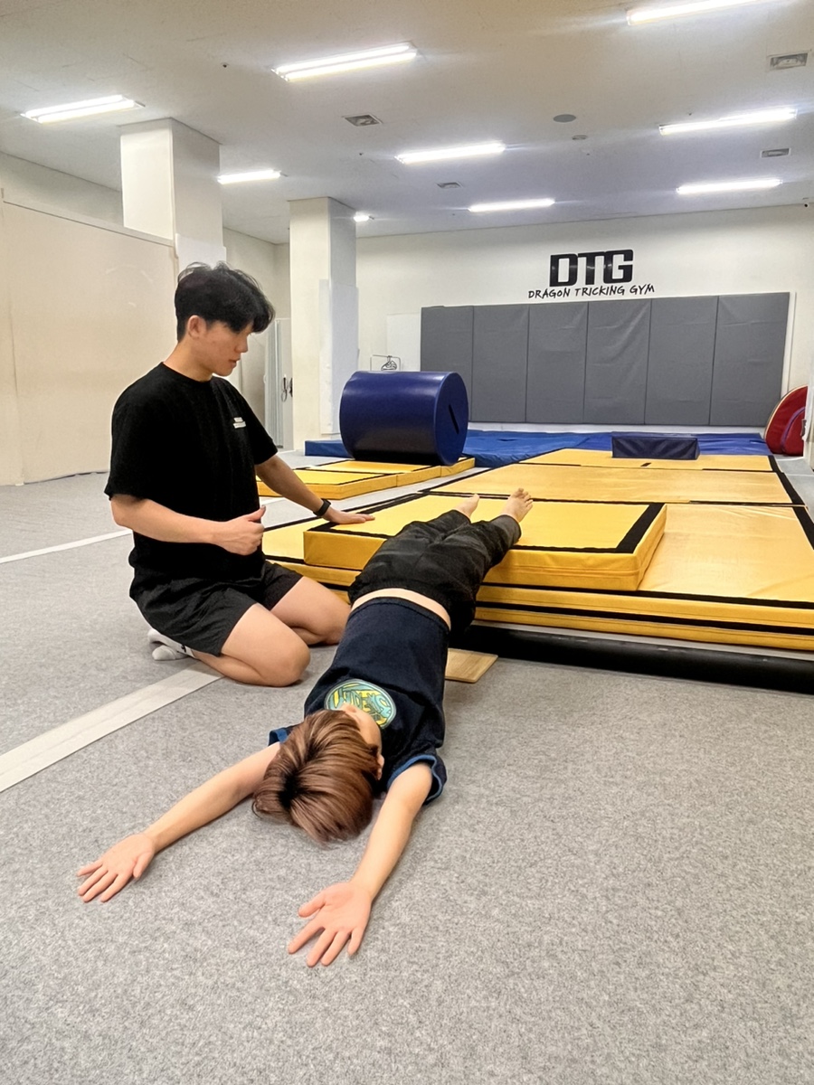 드래곤트릭킹짐 이미지