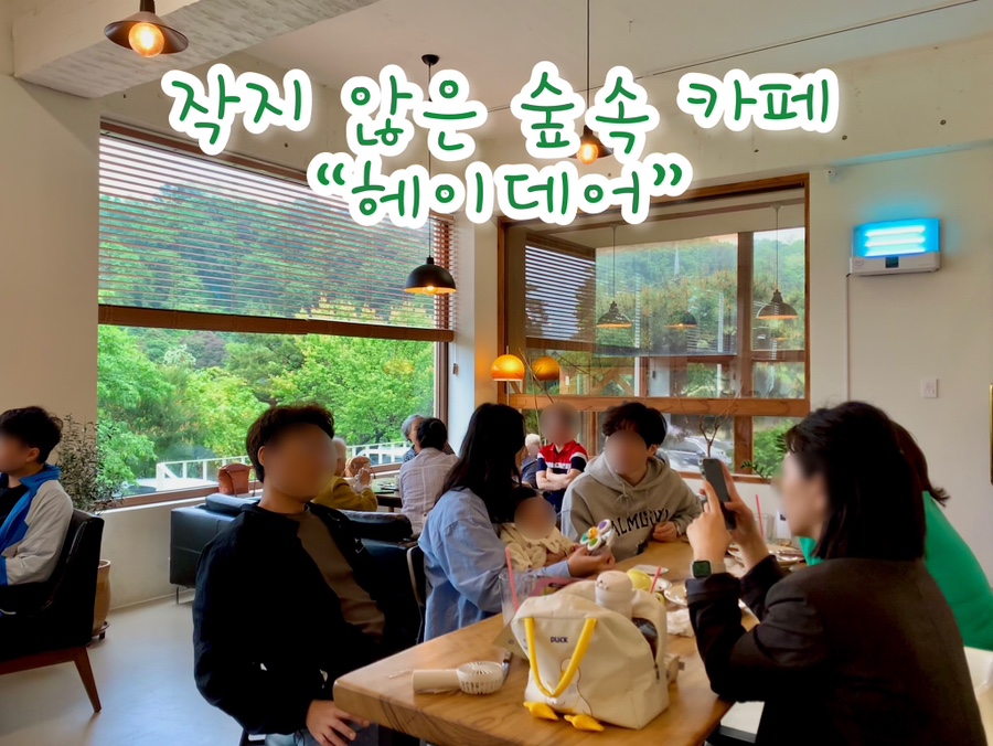 헤이데어 이미지