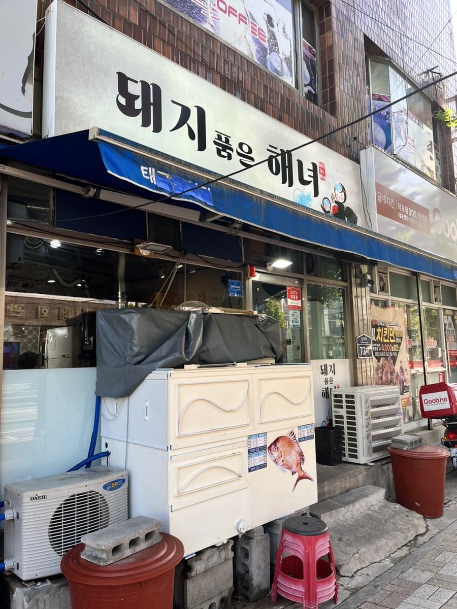 돼지 품은 해녀 이미지