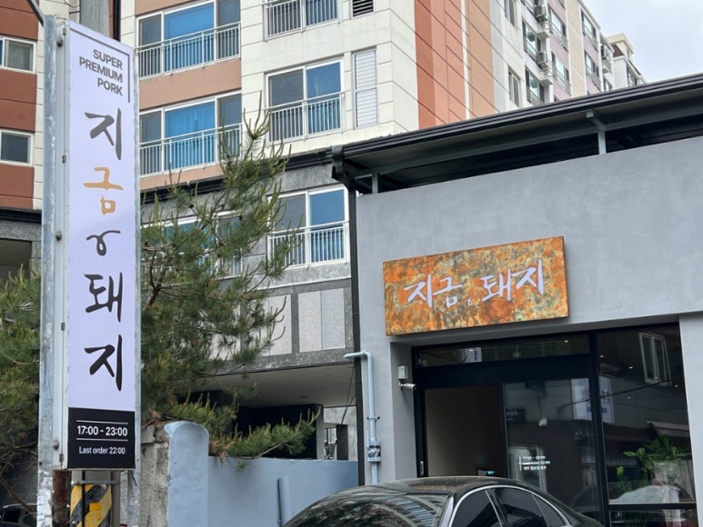 지금,돼지 이미지