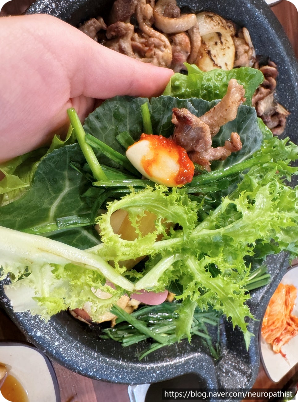 토성오리 이미지