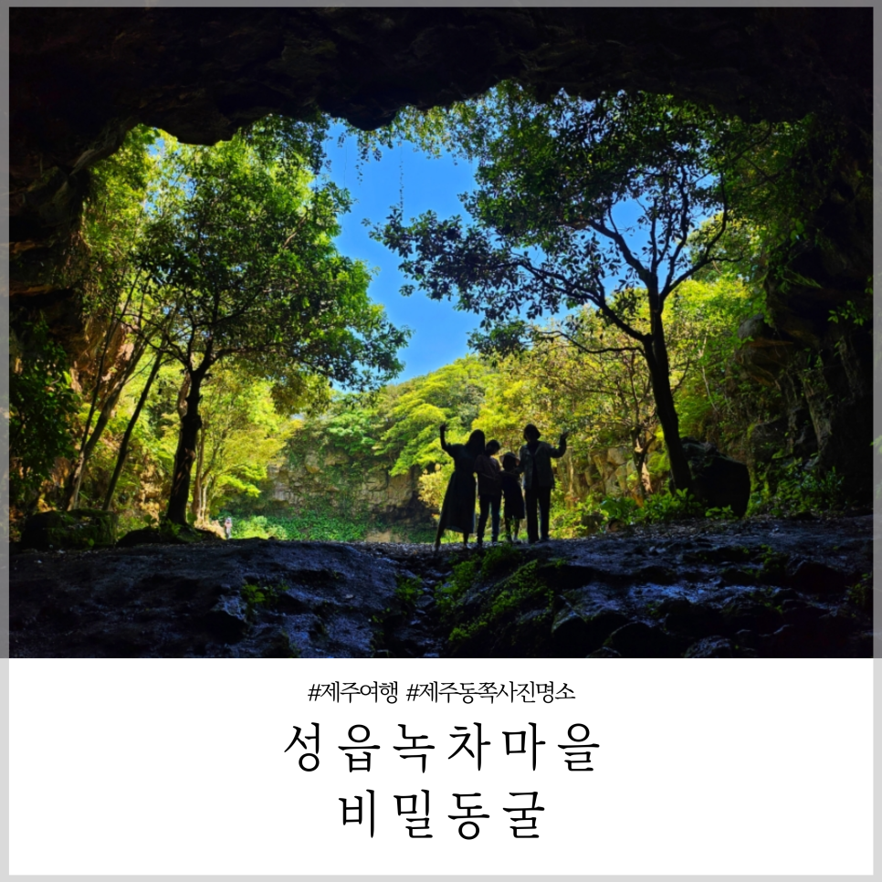 성읍녹차마을영농조합법인 이미지