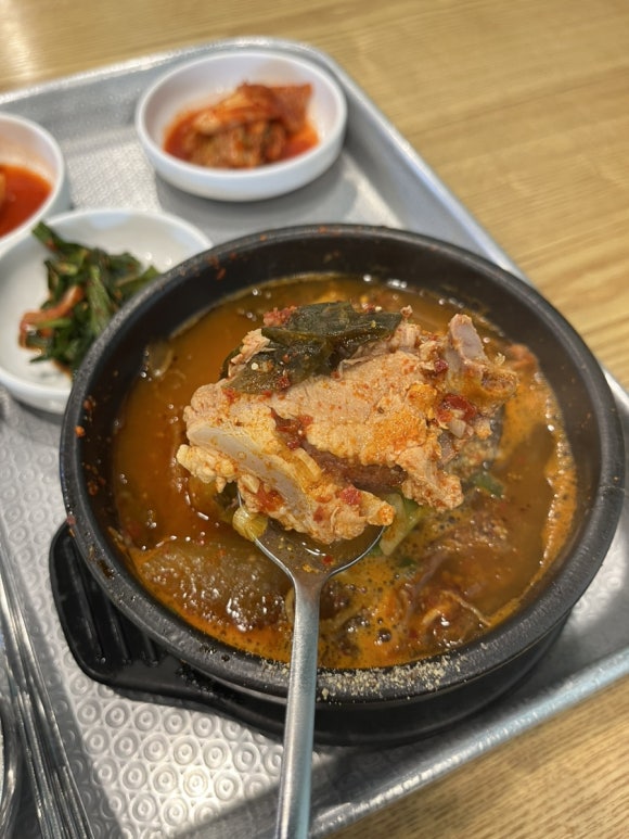 푸르미 사진 4