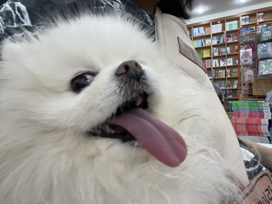 예림문고 이미지